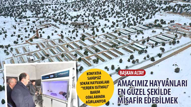 Konya’da Sahipsiz Sokak Hayvanları “Yerden Isıtmalı” Bakım Odalarında Ağırlanıyor