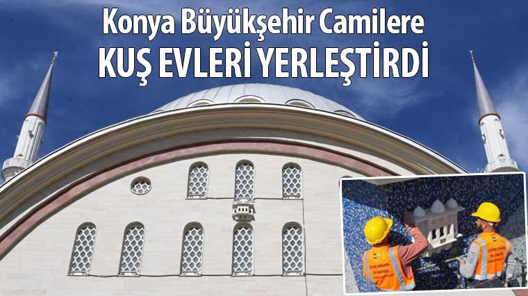 Konya Büyükşehir Camilere Kuş Evleri Yerleştirdi