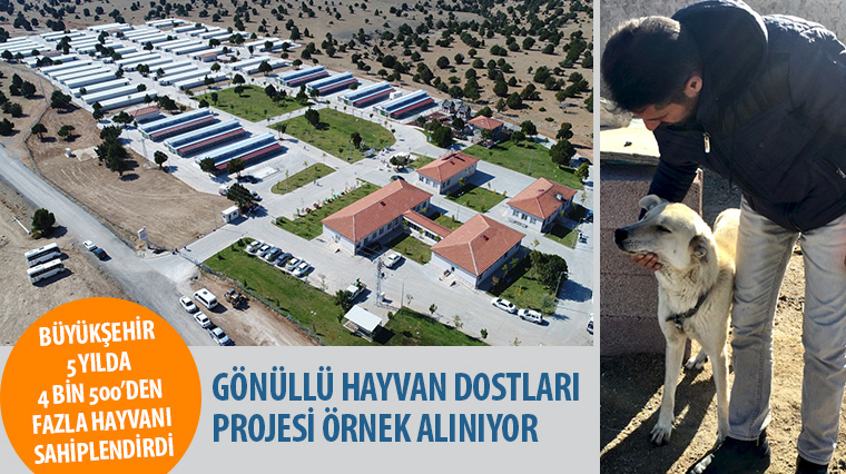 Gönüllü Hayvan Dostları Projesi Örnek Alınıyor