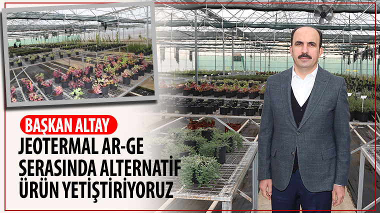 Başkan Altay: Jeotermal Ar-Ge Serasında Alternatif Ürün Yetiştiriyoruz 