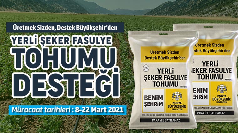 Büyükşehir’den Üreticiye Yerli Şeker Fasulye Tohumu Desteği