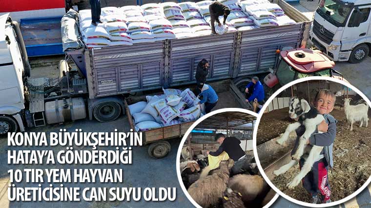 Konya Büyükşehir’in Hatay’a Gönderdiği 10 Tır Yem Hayvan Üreticisine Can Suyu Oldu